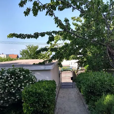 Kety 科斯特雷纳