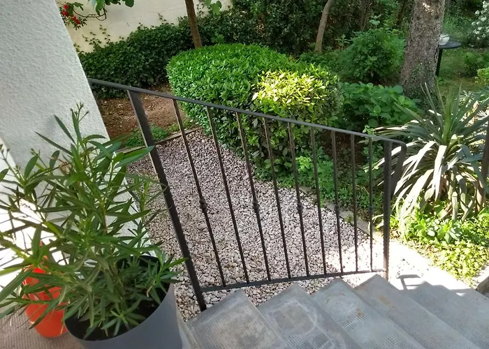 Kety 科斯特雷纳