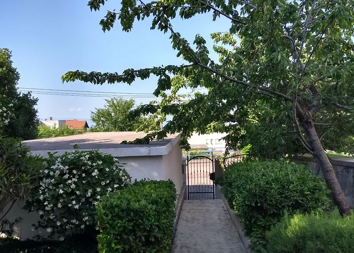 Kety 科斯特雷纳